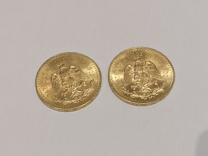 null 2 pièces de 50 Pesos or 1821-1947

Frais de 17 % HT soit 20,40 % TTC sur ce...