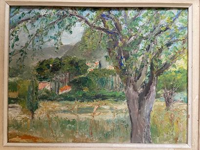 null Set of various frames : 

-Tree landscape, provence, GSP, SBD, 27 x 35 cm, titled...