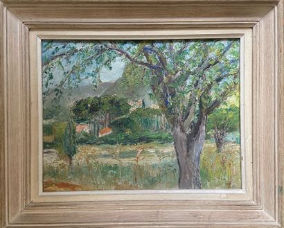 null Set of various frames : 

-Tree landscape, provence, GSP, SBD, 27 x 35 cm, titled...