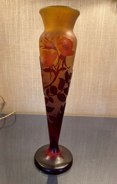 null 
Acid-etched cameo cornet vase, rosehip flower decoration 




Bears a signature




Height:...