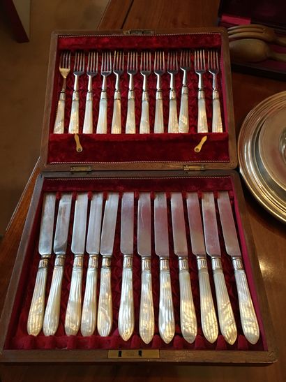 null Lot of silver plated metal: mother-of-pearl service (chips) 12 fruit dishes,...
