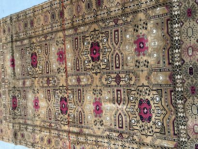 null Tapis décor floral et géométrique fond beige

2, 53 x 1.62 m

Vendu en l'ét...