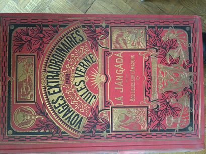null Lot de volumes reliés XIXme : Hugo, Jules Verne, Michelet L'Insecte, Guizot...