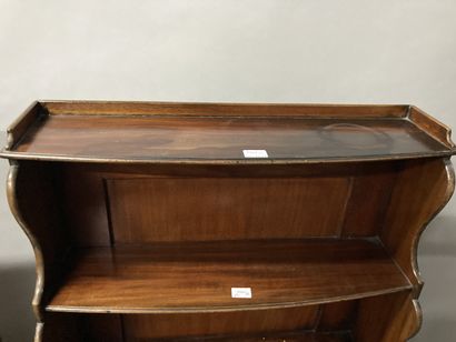 null Pair of small bookcases, opening by a drawer

English work

H: 113 - W: 51 -...