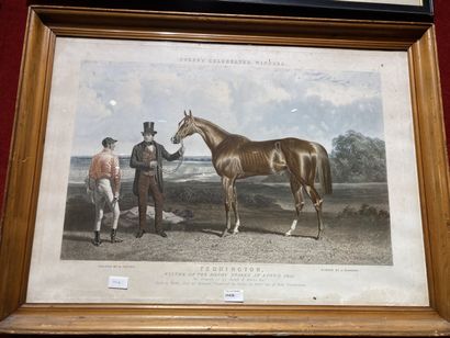 null 
Set of seven equestrian engravings, among which according to VERNET, HERRINO,...