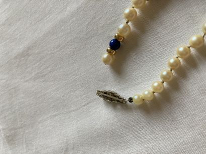 null Necklace of cultured pearls and lapis lazuli (accident), gold clasp and small...