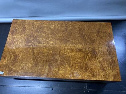 null Burr veneer coffee table with metal base

Work from the 70s - 80s

H: 34 - W:...