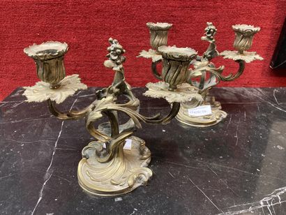 null 
A pair of silver-plated bronze table bits

H: 17 cm

Lack of gilding, lot sold...