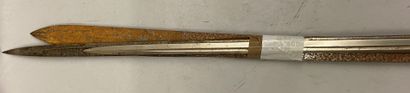 null Cinq lames de sabre XIXe dont une sabre prussien fin XIXe, XXe.