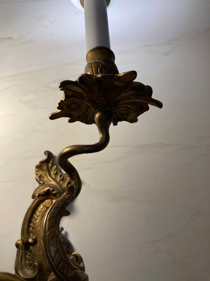 null PAIRE D’APPLIQUES DE STYLE LOUIS XV

XIXÈME SIÈCLE

En bronze doré et ciselé,...