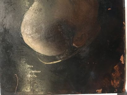 null Portrait de moine

Huile sur panneau

Accidents 

21 x 26,5 cm 

En l'état