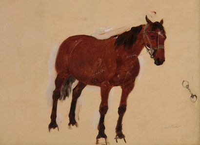 René PRINCETEAU (1844-1914). Etude de cheval....