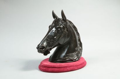 null Alfred JACQUEMART (1824-1896). Tête de cheval harnaché. Bronze à patine brun-noir...