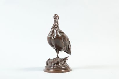null 
Louis Théophile HINGRE (1832 - 1911). Dindon. Bronze à patine brune signé en...