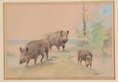 null 
Arthur GOUVERNEUR (1852- ?). Les Sangliers. Aquarelle sur papier signée en...