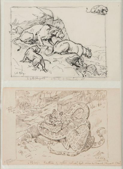 null 
Georges Frédéric RÖTIG (1873 - 1961). Les Lions / Panthère et Python. Deux...
