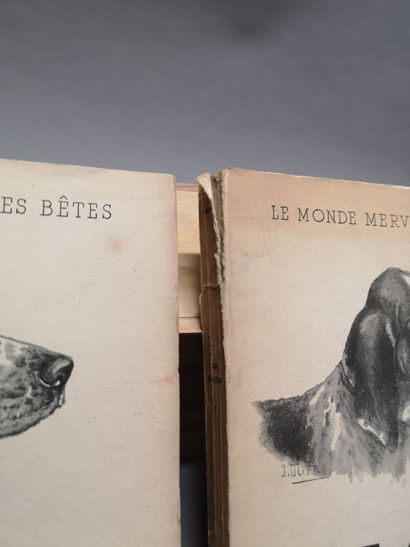 null 
Joseph OBERTHUR. Le chien. Deux volumes illustrés par l’auteur DUREL Editeur...