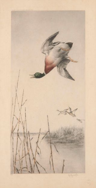 null 
Maurice MOISAND. Vol de canard. Gravure en couleurs signée dans la marge encadrée....