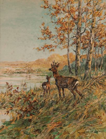 null 
Fernand MAISSEN (1873-?). Les chevreuils au bord de l’étang. Aquarelle sur...