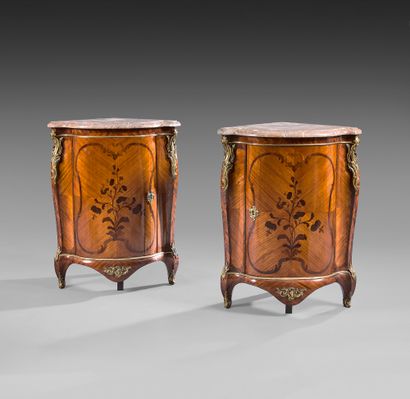 null Pair of corner cabinets with flowering and leafy branches of violet wood in...