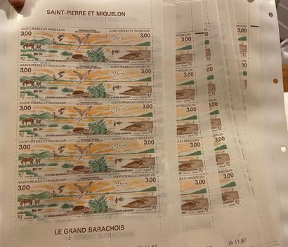 null St PIERRE et MIQUELON – ANDORRE : 1 classeur de timbres neufs modernes, en ...