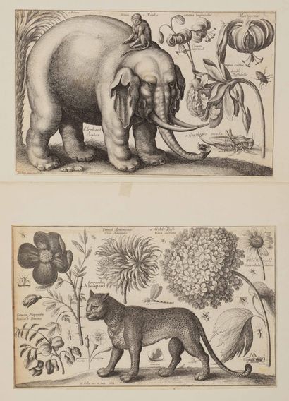 null Wenzel HOLLAR (1607 - 1677)

Hommes abattant un arbre – Eléphant, léopard, chien,...