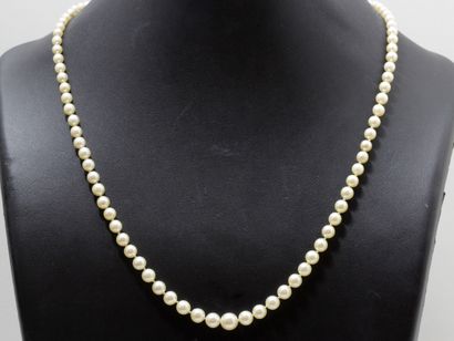 null Collier composé d’une chute de perles de culture d’environ 3 à 7.1 mm. Il est...
