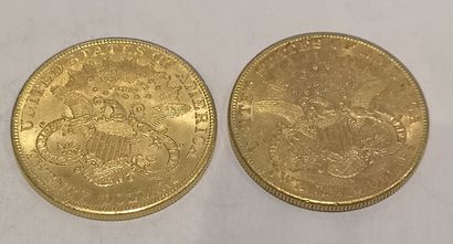 null 
Lot 17

Deux pièces de 20 dollars or datées 1904 et 1906

(usures)



FRAIS...