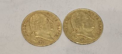 null 
Lot 14

2 pièces de 20 Francs or Louis XVIII datées 1818 et 1824

(usures)



FRAIS...