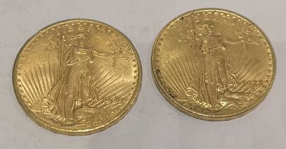 null 
Lot 18

Deux pièces de 20 dollars or datées 1909 et 1922

(usures)



FRAIS...