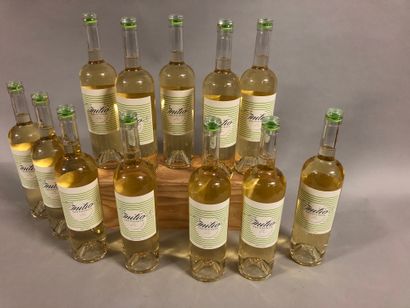 null 12 bouteilles INITIO, SAUVIGNON, BENOIT DUBOURG 2016 ("Lot N° 101")