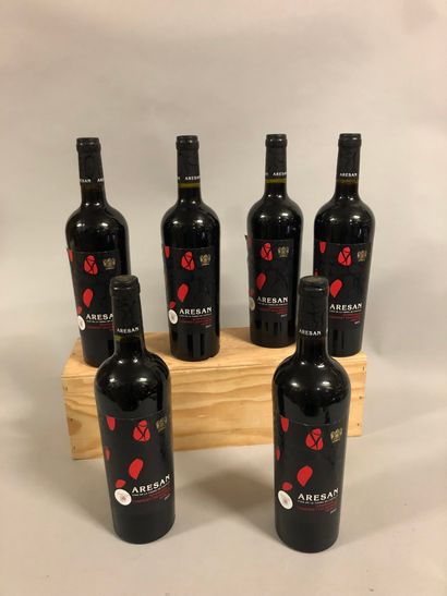 null 6 bouteilles ESPAGNE Vino de la Tierra de Castilla, 2017 ("Tempranillo, Cabernet...