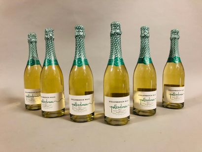 null 6 bouteilles VIN PÉTILLANT STELLENBOSCH HILLS, 2017 ("Sauvignon Blanc")