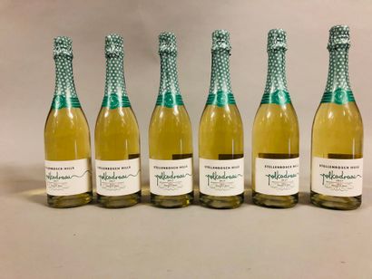 null 6 bouteilles VIN PÉTILLANT STELLENBOSCH HILLS, 2017 ("Sauvignon Blanc")