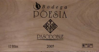 null 12 bouteilles MENDOZA "Pasodoble", Bodega Poesia 2007