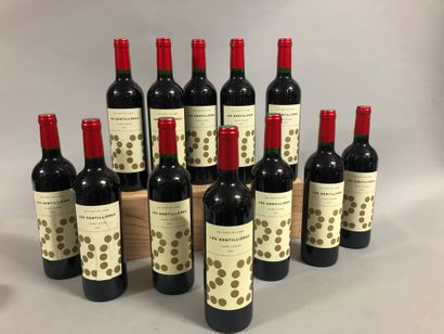 null 12 bouteilles TERRASSES DU LARZAC, "Cuvée Louxor", 2015 (ea, elt)
