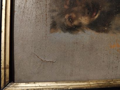 null Dog sitting in front

Oil on canvas signed lower left, illegible

(missing and...