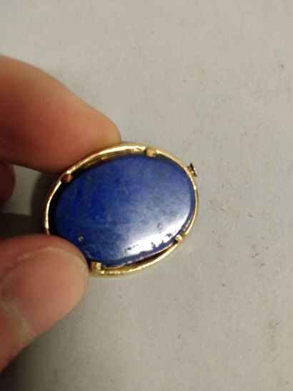 null Broche lapis lazuli

2,5 x 2 cm

Lot vendu en l'état