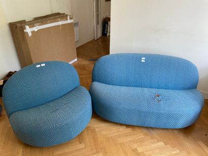 null 
Pierre PAULIN édition Ligne Roset modèle Elysée




Canapé et siège bas garnis...