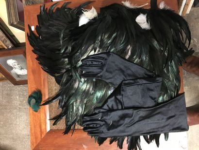 null Important lot of ostrich feathers, various birds, tinted with different colors...
