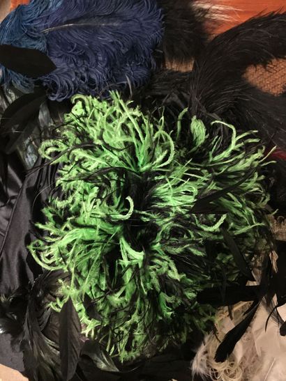 null Important lot of ostrich feathers, various birds, tinted with different colors...