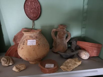 Lot d'objets de fouilles antiques dont nautiles,...