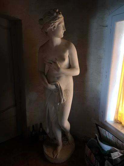 null After Canova. Pudique Venus. Plaster. Ht 180 cm. (chips and missing parts)