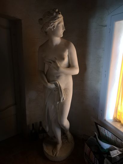 null D'après Canova. Vénus pudique. Plâtre. Ht 180 cm. (éclats et manques)