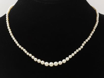 null Collier composé d’une chute de perles fines d’environ 3.4 à 6.5 mm. Il est agrémenté...