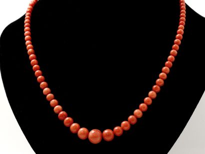 null Necklace composed of a fall of pearls of coral of approximately 4.3 to 12.6...