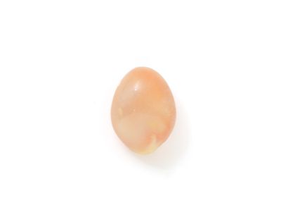 null Porcelain pink pearl of oval shape not drilled on paper. Weight : 21.76 cts...