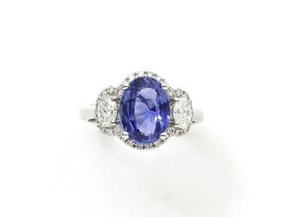 null Ring in white gold 750 thousandths, ornamented with a facetted oval sapphire...