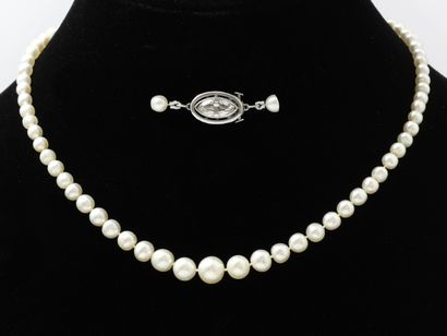 null Necklace made up of a fall of fine pearls slightly baroque of approximately...