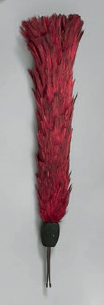 Red plumet ; length 31 cm ; it is equipped...